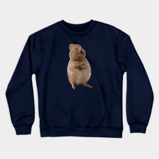 Cute quokka Crewneck Sweatshirt